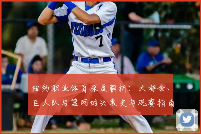 纽约职业体育深度解析：大都会、巨人队与篮网的兴衰史与观赛指南